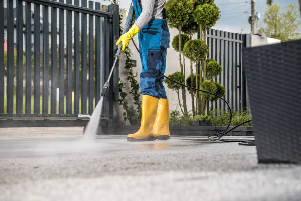 Best Building Exterior Washing  in Lutherville, MD